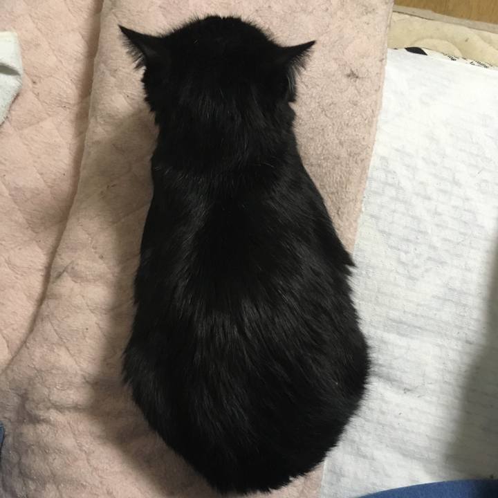 7003ffd1 a05d 4b4e a42d 257004355cfd 1551525431231