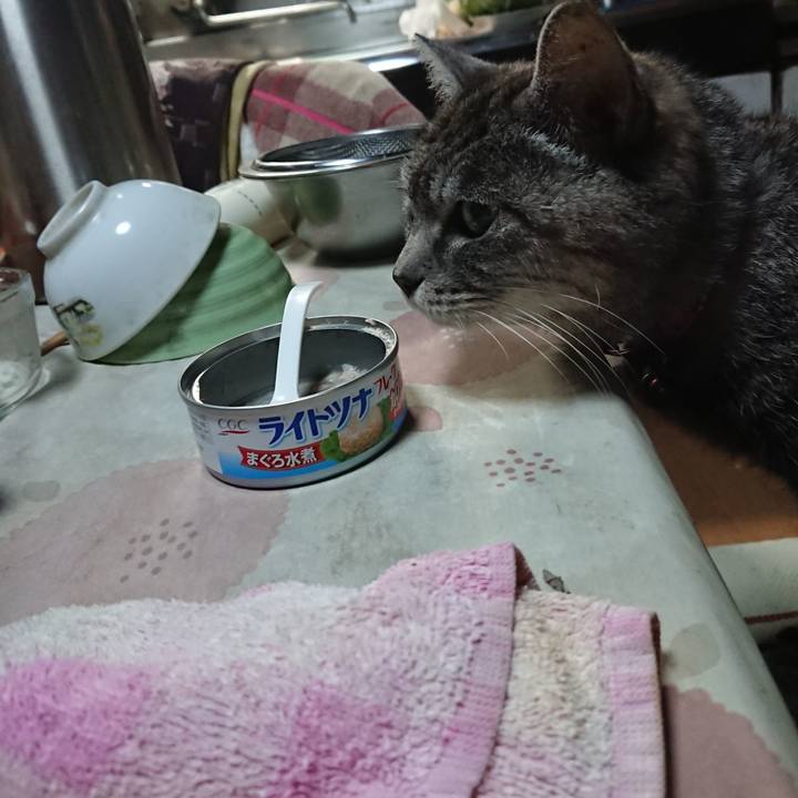 700402c3 7e36 4e56 b699 816358d23062 1579341790380