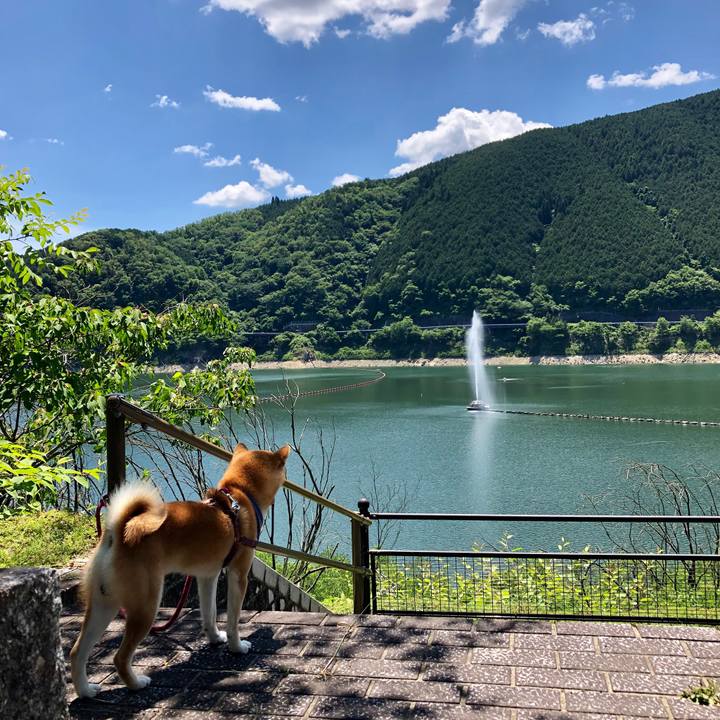 7004053a 926e 4256 a22f 50c9d94d5582 1561453168940