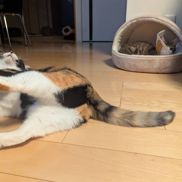 70040558 1da8 4044 bf7a 3302b7babaf7 1736754804022