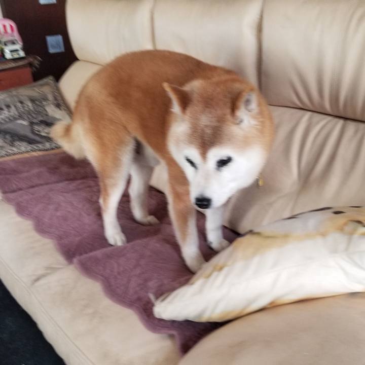 700425ee 11b7 4ca0 961f 88619e70310e 1745710081231