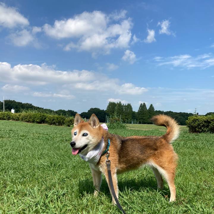 70048820 419b 4afb 97bf 801fa72187f0 1756437374620