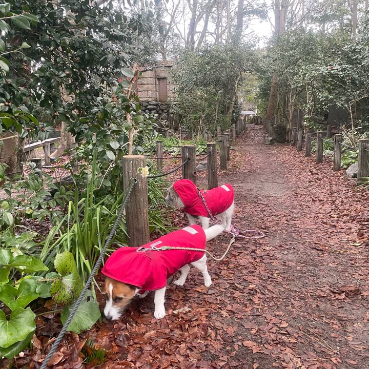 70048eaf f748 4eab 8d47 638141bdd4a6 1741216995624