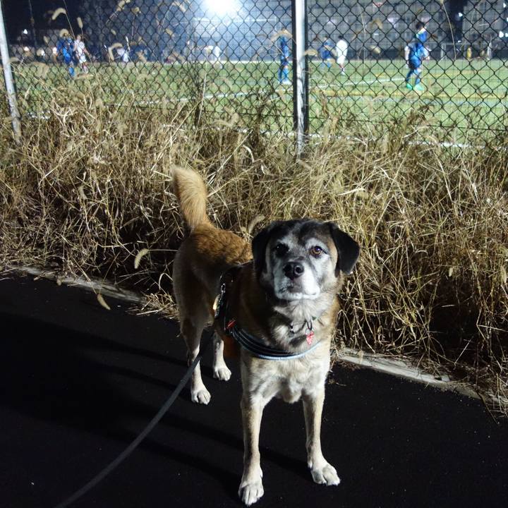 70049d55 3785 465c 947e cde2b16b0e69 1621127838307