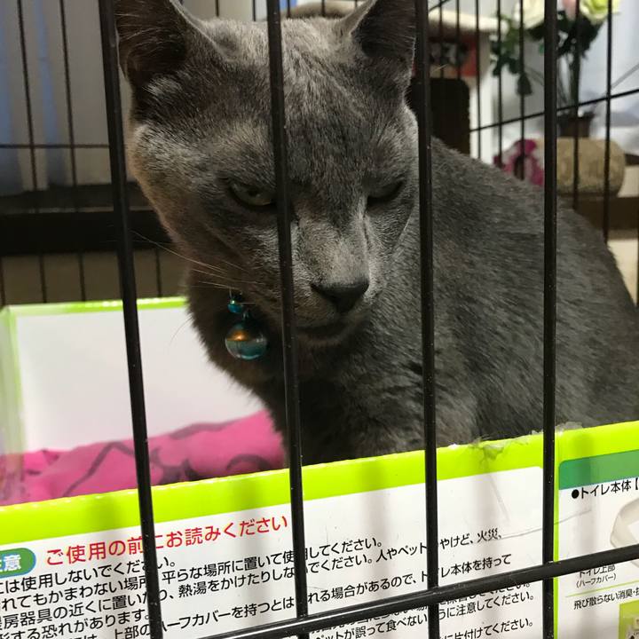 7004a748 fedf 45ec b8a1 40d4eddfead3 1519290870282