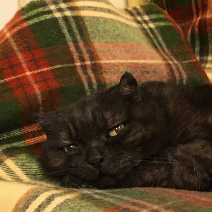 7004a807 8740 4840 ae6d aeff7647c287 1525277647451