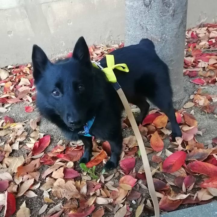 7004b104 a1c5 47bb 8b2f 622f0c425f41 1637272554857