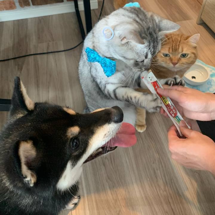 7004bc80 6da4 4041 a69b 4e296132421a 1659852824778