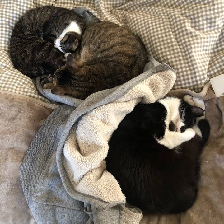 7004c053 709a 4d79 942a 1b58fbcc75aa 1616224279554