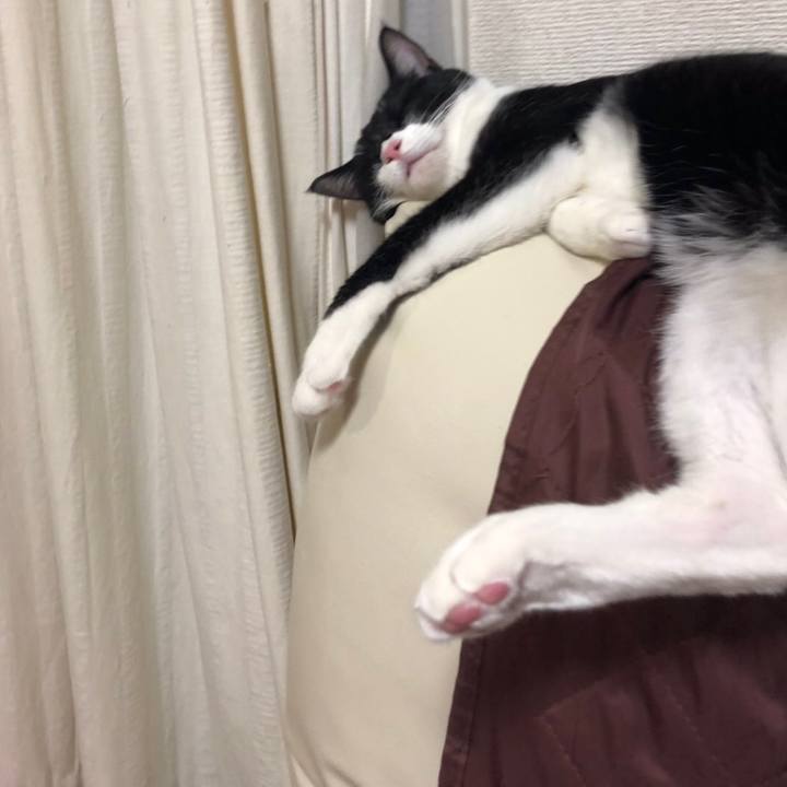 7004dfd6 a2ec 4b71 98e9 a3985434d8cc 1553735123181