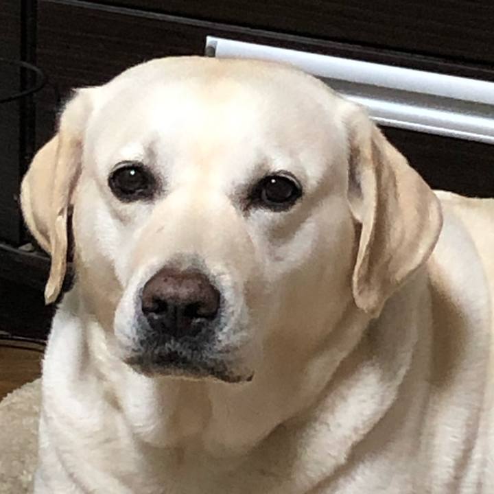 7004f00e c8cd 4ca8 8707 b10407bea647 1629947286021