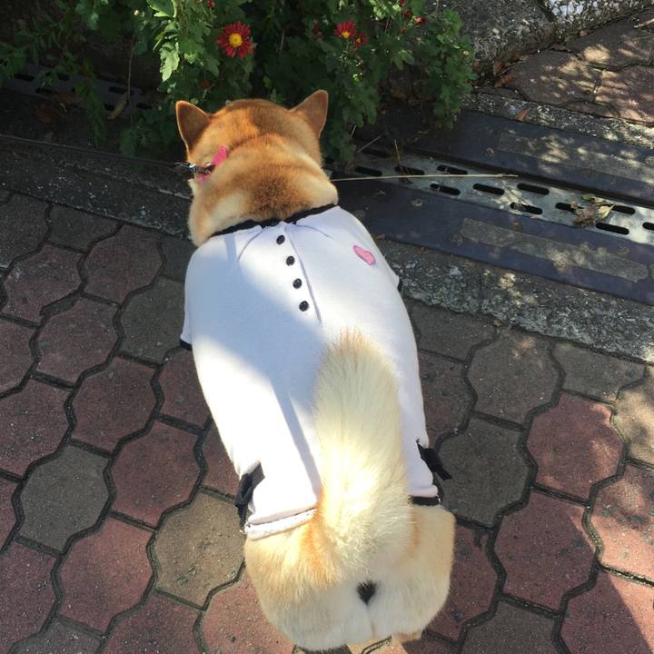 7005011b 92f2 4b45 a2b6 08b454d5022f 1573099465557