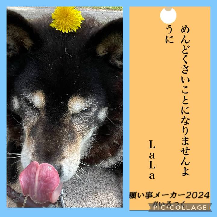 700507d0 14ea 470b bd84 17283cfe0073 1720255507928