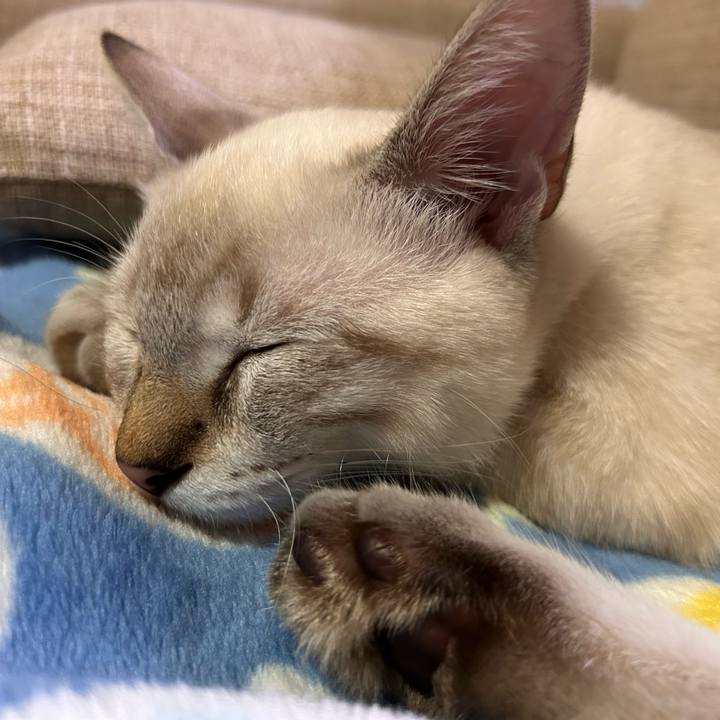 70051873 4d6c 4d27 b522 f2fe064050df 1727877096873