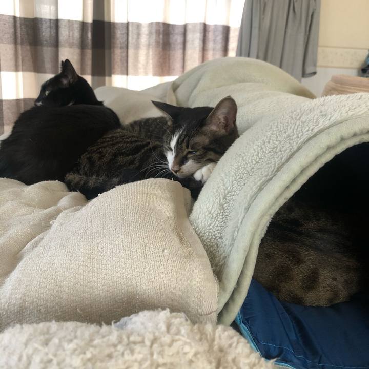 70051a1a 521f 4703 9a16 ae4a6265fc0d 1595730832308