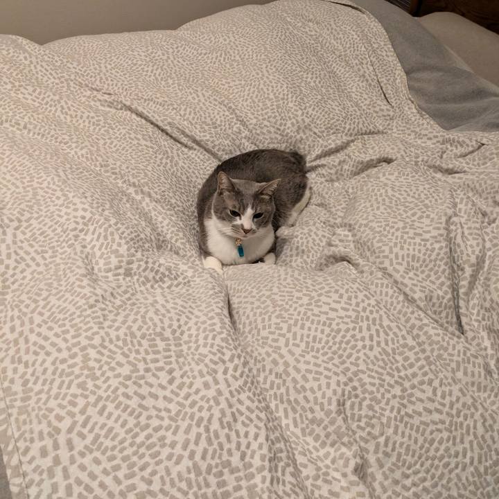 70052df9 2d7c 456e bb25 02b63b53792a 1734149807726