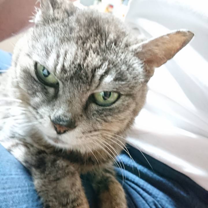 70052ef3 97d3 41a6 b0f8 1cd94e8c60b4 1594464912159