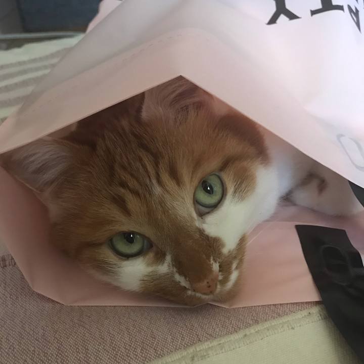 70053750 c547 4864 a5cf 2445b247677c 1556421187928