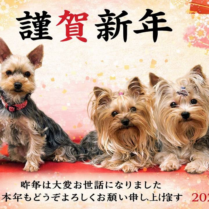 70055cbe 68bf 4160 942a 70809f093b8f 1767249796697