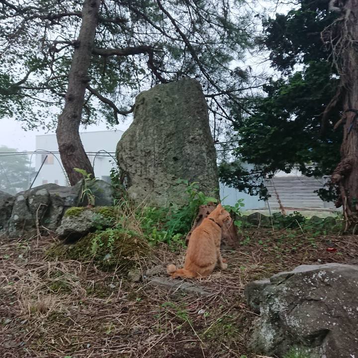 70057dd7 7317 47c6 b491 95621e9da9fc 1663364205277