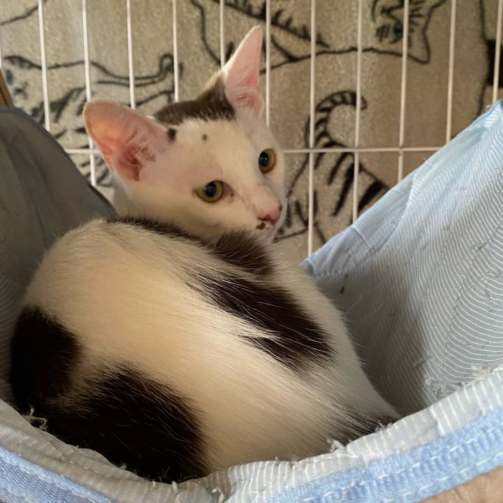 7005976a 7b7c 438b 9874 f19c88137aaf 1692447218953