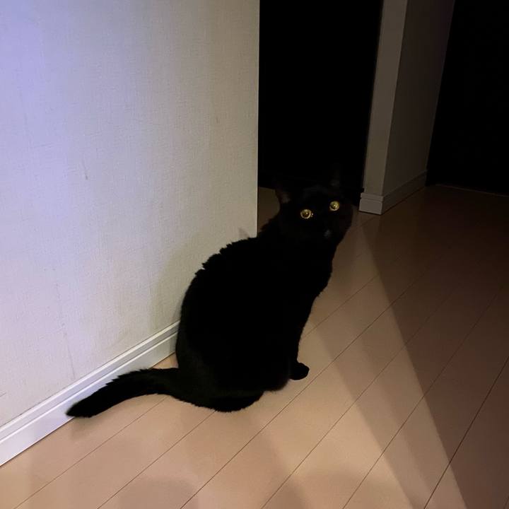 7005b01b 4cd4 4d71 8cac a23c094f9e51 1745322524288