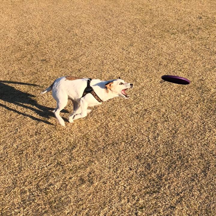 7005bb8e ceac 41ff 801b 3bd7622654d5 1515831441568