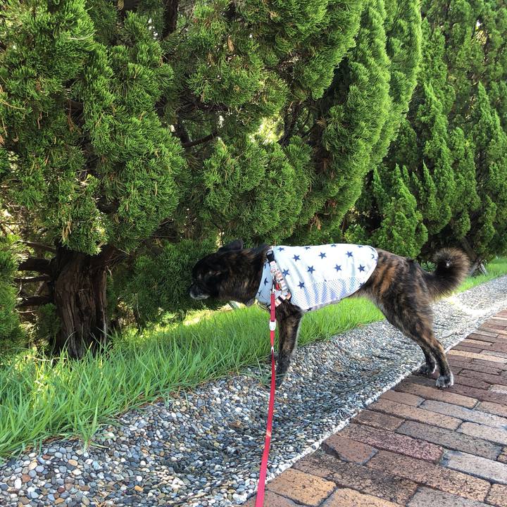 7005bebd 74e0 4a45 96fa 99237ad806c6 1597625974372