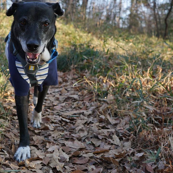 7005c420 1ecb 4350 b651 39a45b7b10f2 1768870700945