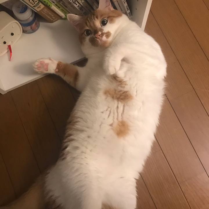 7005cbfa 78a5 44c7 8bb6 5c54a8fac047 1595477743533