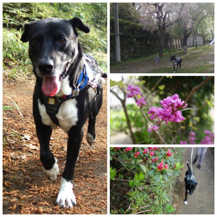 7005f9ea d2f6 4b3b aa22 2f0b0ee58843 1649637093885