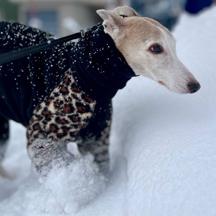 70064833 9998 4b95 b52c 9056b28ea86a 1768205375556