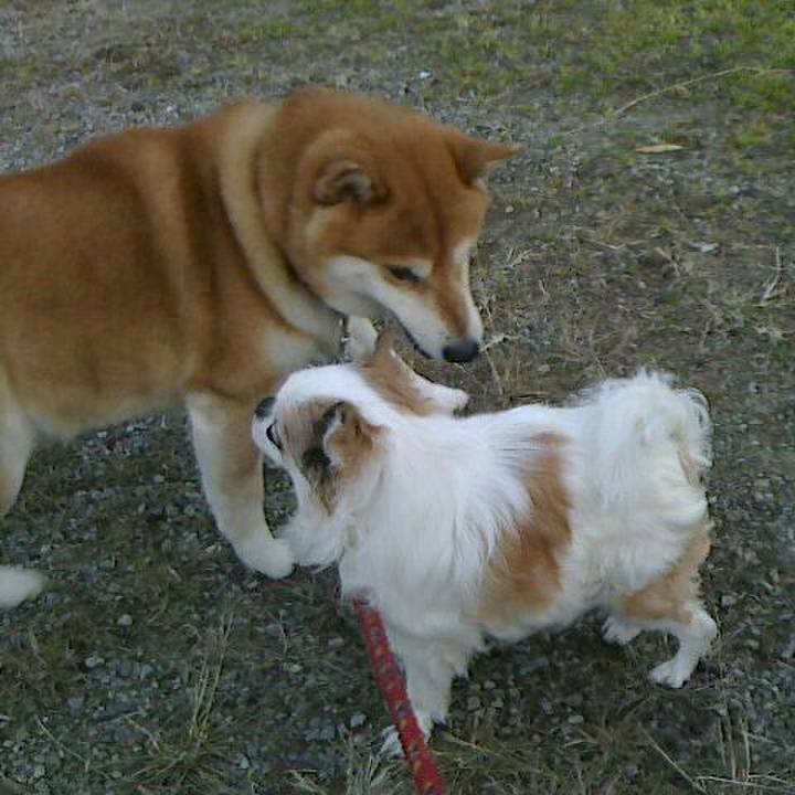 7006572e d16c 4422 be65 a6fddcd2f741 1547554754038