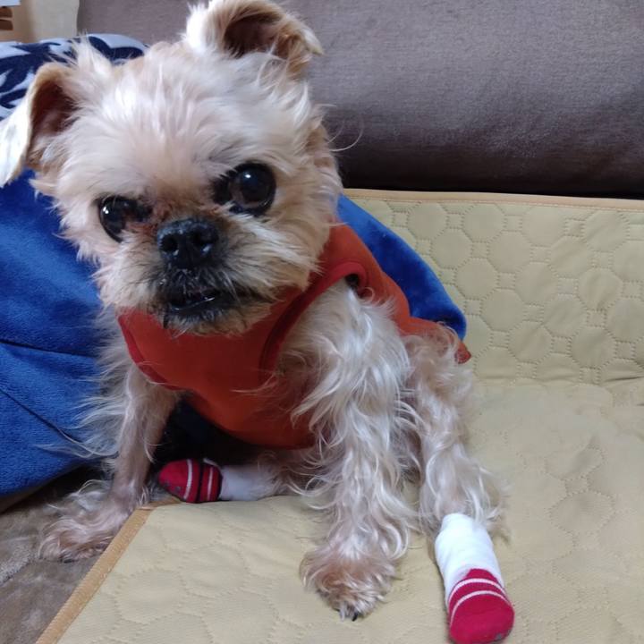 70065ea8 e792 4014 829b e9576c03db0d 1702196608107