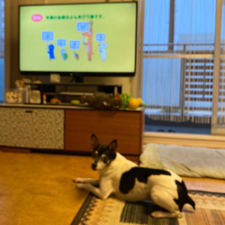 70066fa8 a2fc 4654 858e 4a69592f009d 1600984874289