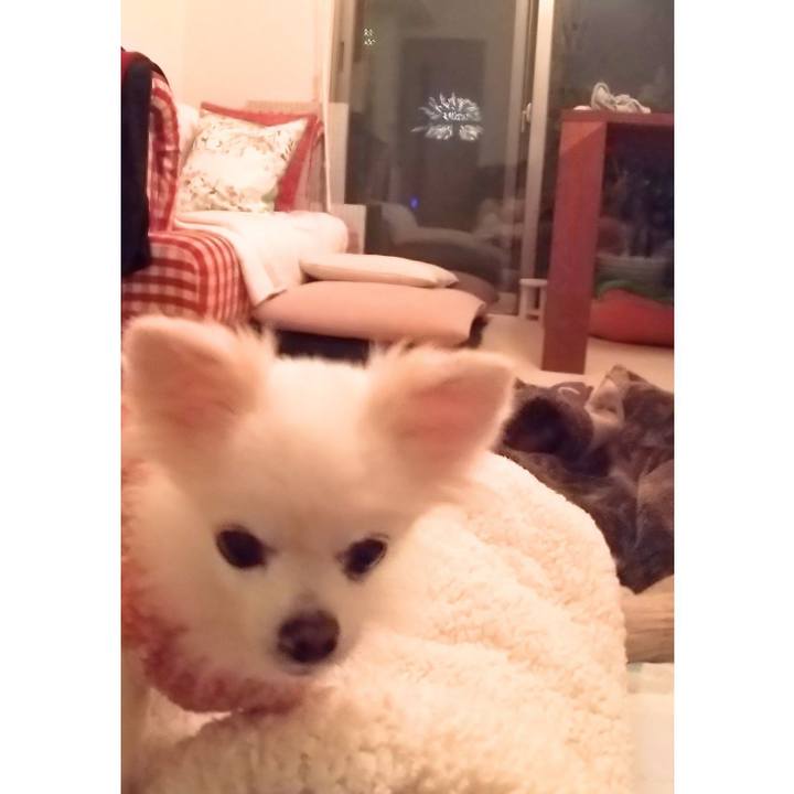 7006762e 6f84 445d 8ef9 1e2e2d3a0d4b 1637997299127