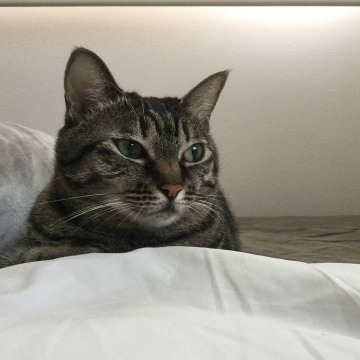 700682e7 d9d5 4584 b064 a835a9606504 1601528775771