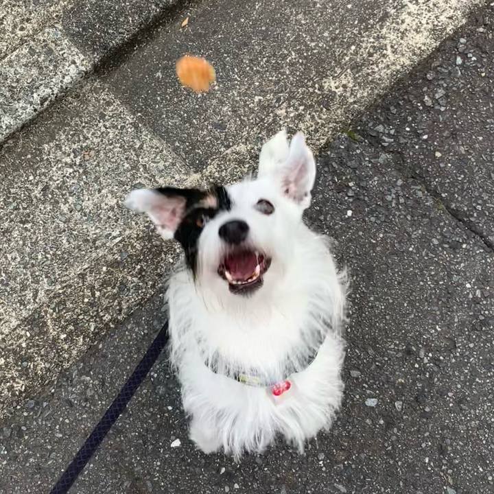 700682ea a420 44c1 8646 1b1844891149 1695164056244