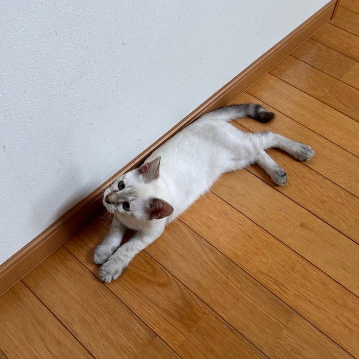 70069baf 1b5a 4a9f bd4e 5565b2a453ea 1724743429905