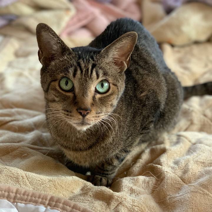 7006e081 f769 4068 9c6c 7906af1873ec 1554167662218