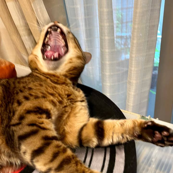 7006ecce fb46 4fc9 827b 5e9df3c013e6 1656036119231