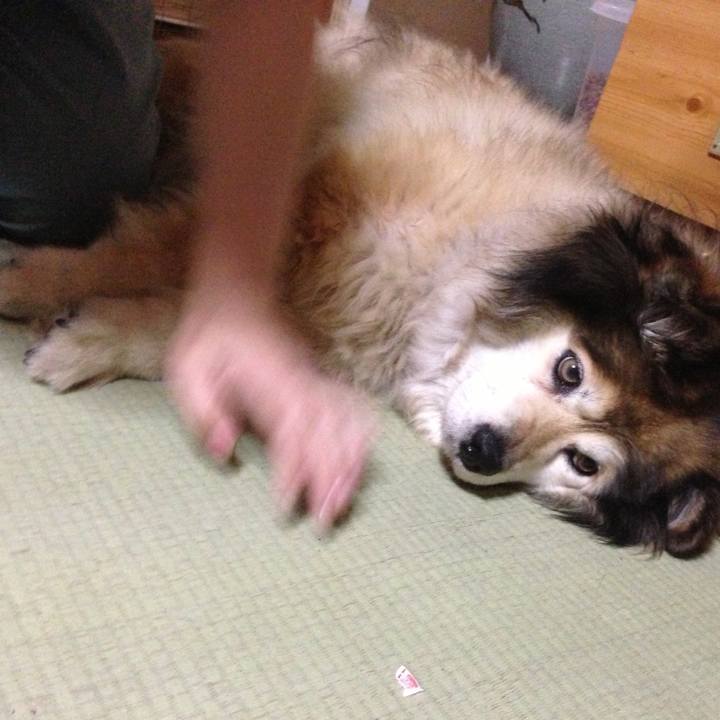 70071878 f2cc 40c4 bd1d 7d4704e6883f 1566154028762