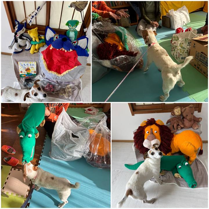 70072716 699f 4b43 9ee2 353c1305b3e1 1766142450007