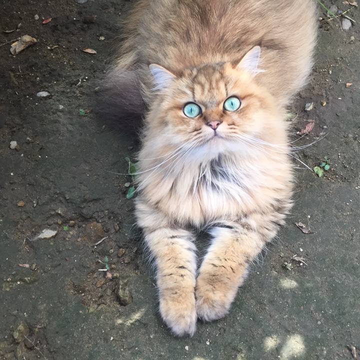 70074598 d585 44aa 8719 d41177bc1492 1533799006533