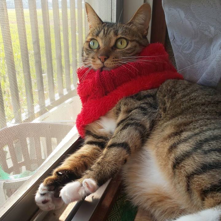 7007466c 5944 455d acc8 6297639c26b2 1763217508267