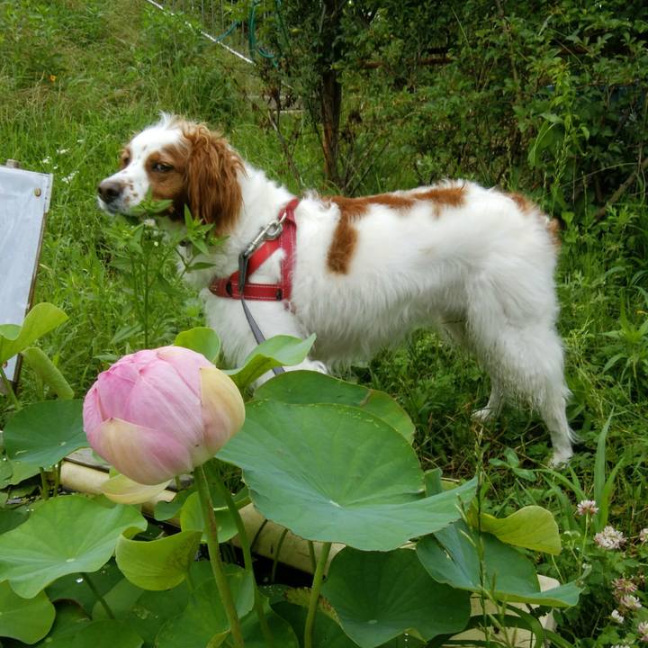 7007b4b7 fb62 460e 9362 f17a740f18c8 1561894695933