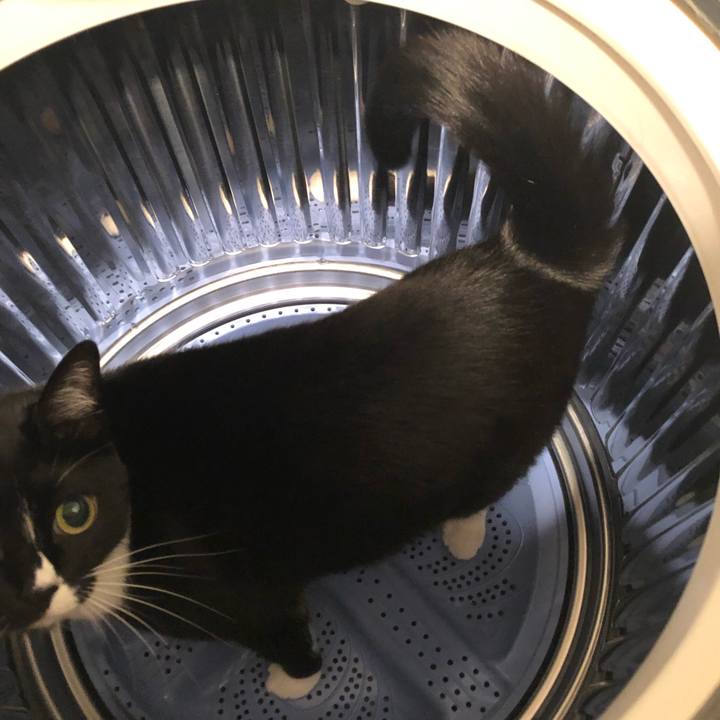 7007d8f7 118b 4247 956a c3731b9d067b 1544652673838