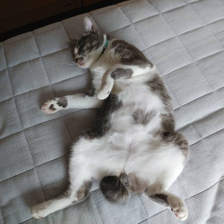 7007f196 f869 4fdf bfb8 c4921055c4d7 1594251715221