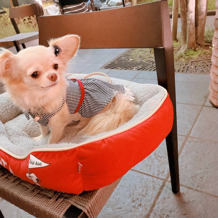 700800bf ad10 450b 97be a6f4878129e2 1661689094852