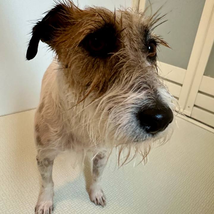 70080b24 cd5a 4f86 9f72 7f781fcc2a8a 1715512673901